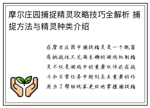 摩尔庄园捕捉精灵攻略技巧全解析 捕捉方法与精灵种类介绍